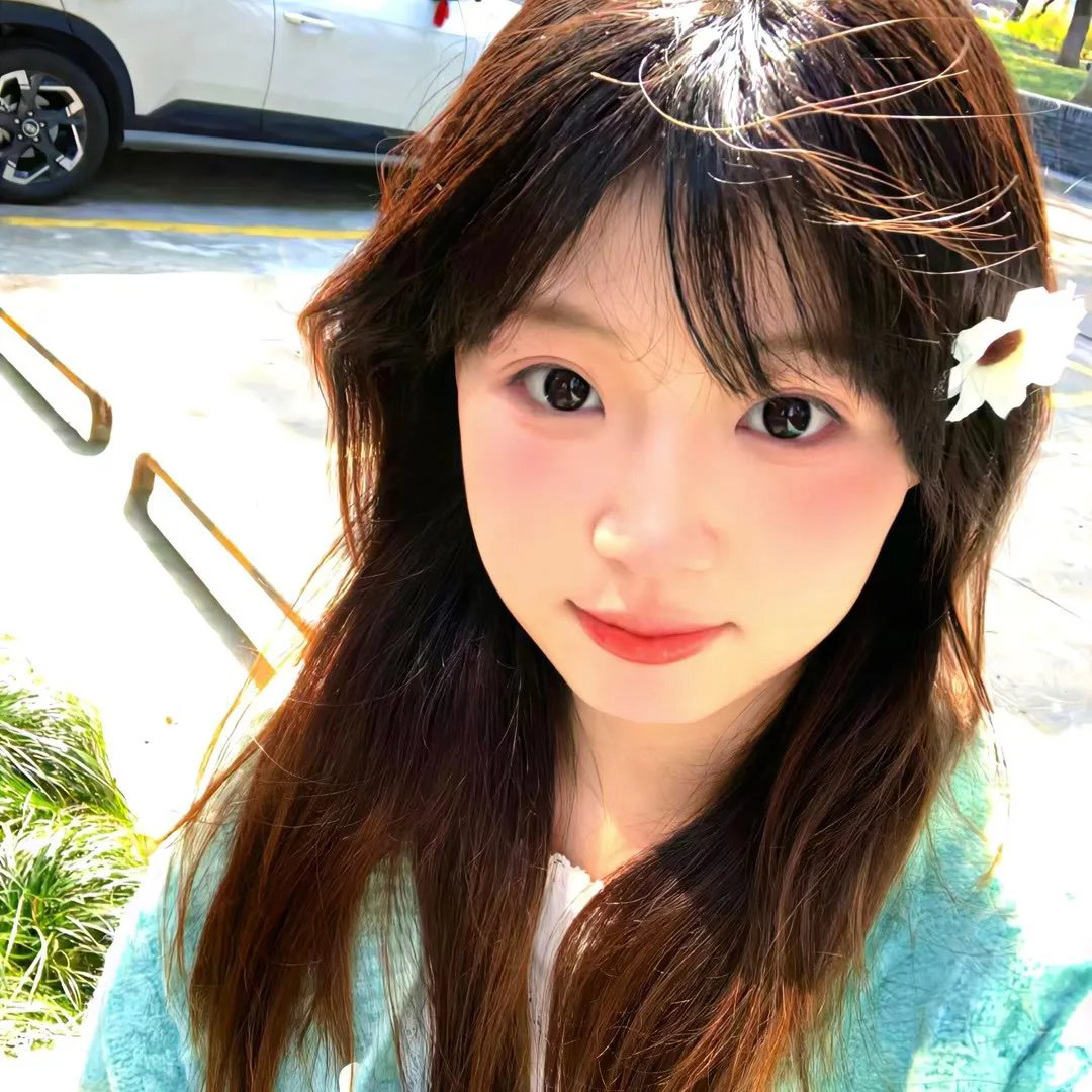 灵性的动物